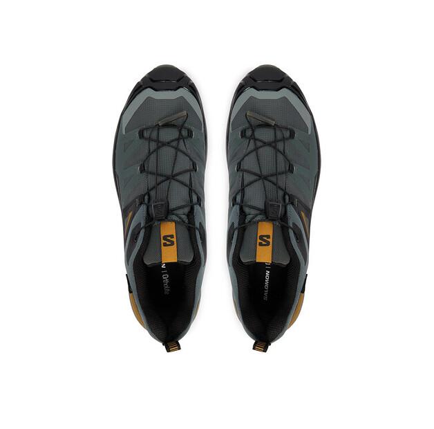 Треккинговые ботинки Salomon X Ultra 360 Gtx