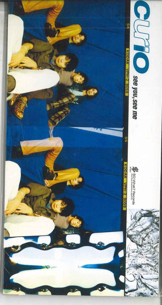 CD CURIO - See You , See Me ESDB3912PROMO SO WHAT? RECORD 1999 Japan Japanese Pop/Rock Used