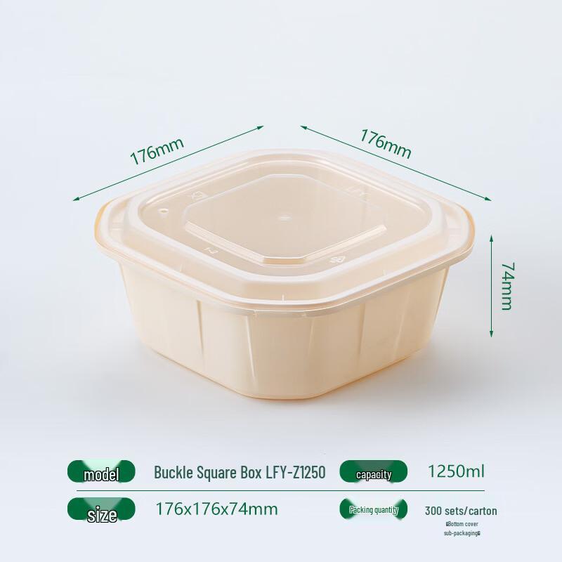 Disposable Food Container with Locking Lid