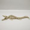 1pc Champsaurus Skeleton Aquarium Dinosaur Fossil Decoration Figurine Large Dinosaur Skeleton Model Gardening Accessories