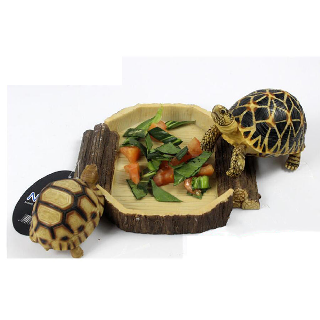 tortoise vivarium accessories