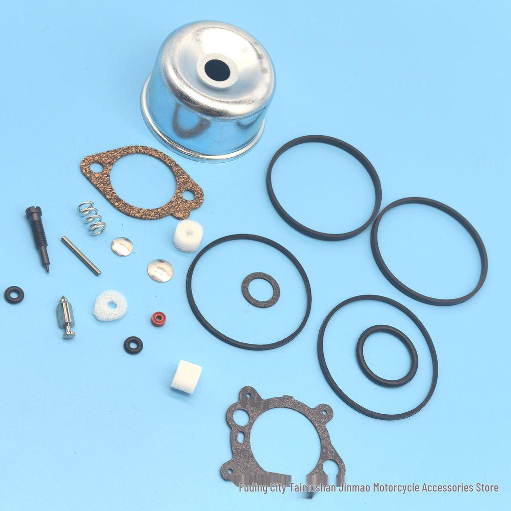Briggs & Stratton Carburetor Repair Kit for Models 498260, 492495, 796611, 493640