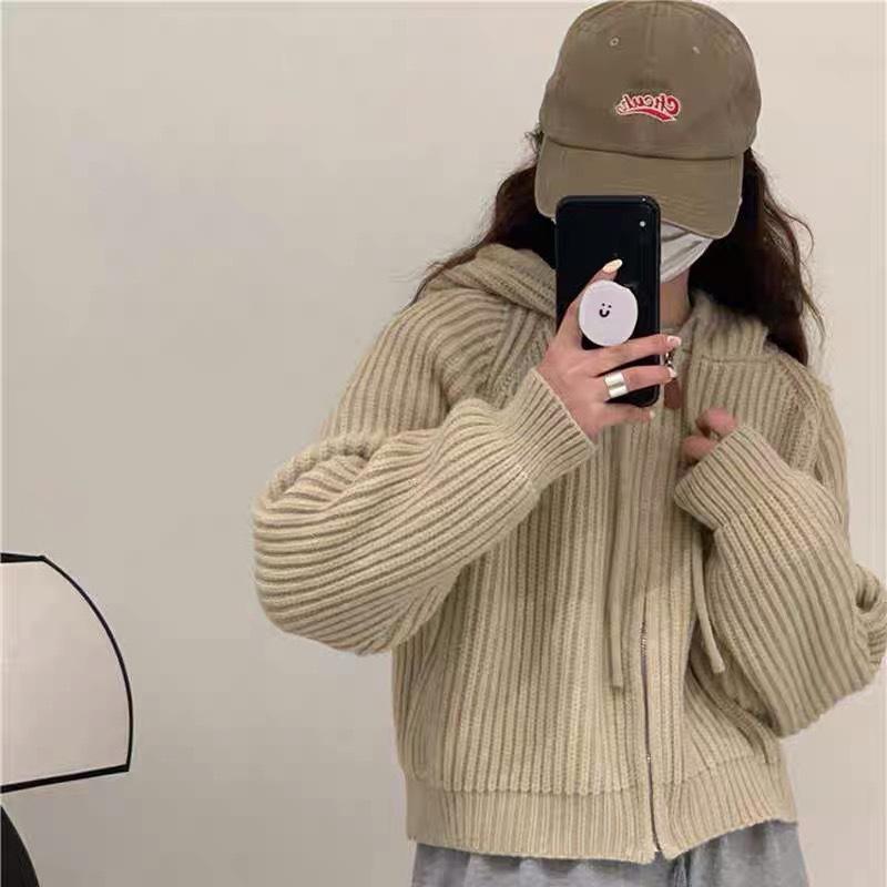 Hooded Short Knitted Cardigan Top Women's Autumn and Winter New Sweater Jacket Women's Loose Lazy Style