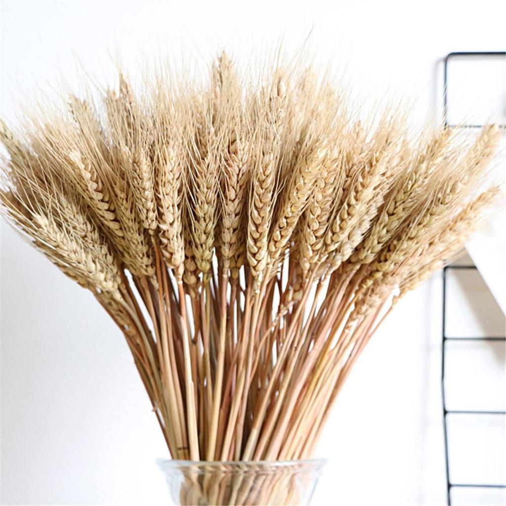 Straw Dried Flower Home DIY Decoration
