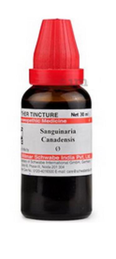 

@ Dr Willmar Sanguinaria Canadensis Q Homeopathic Medicine 30ML