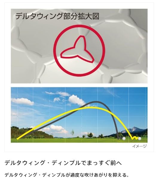 BRIDGESTONE SUPER STRAIGHT Golf 2025 Pearl Pack of T5GX Balls, Model, White, 12,