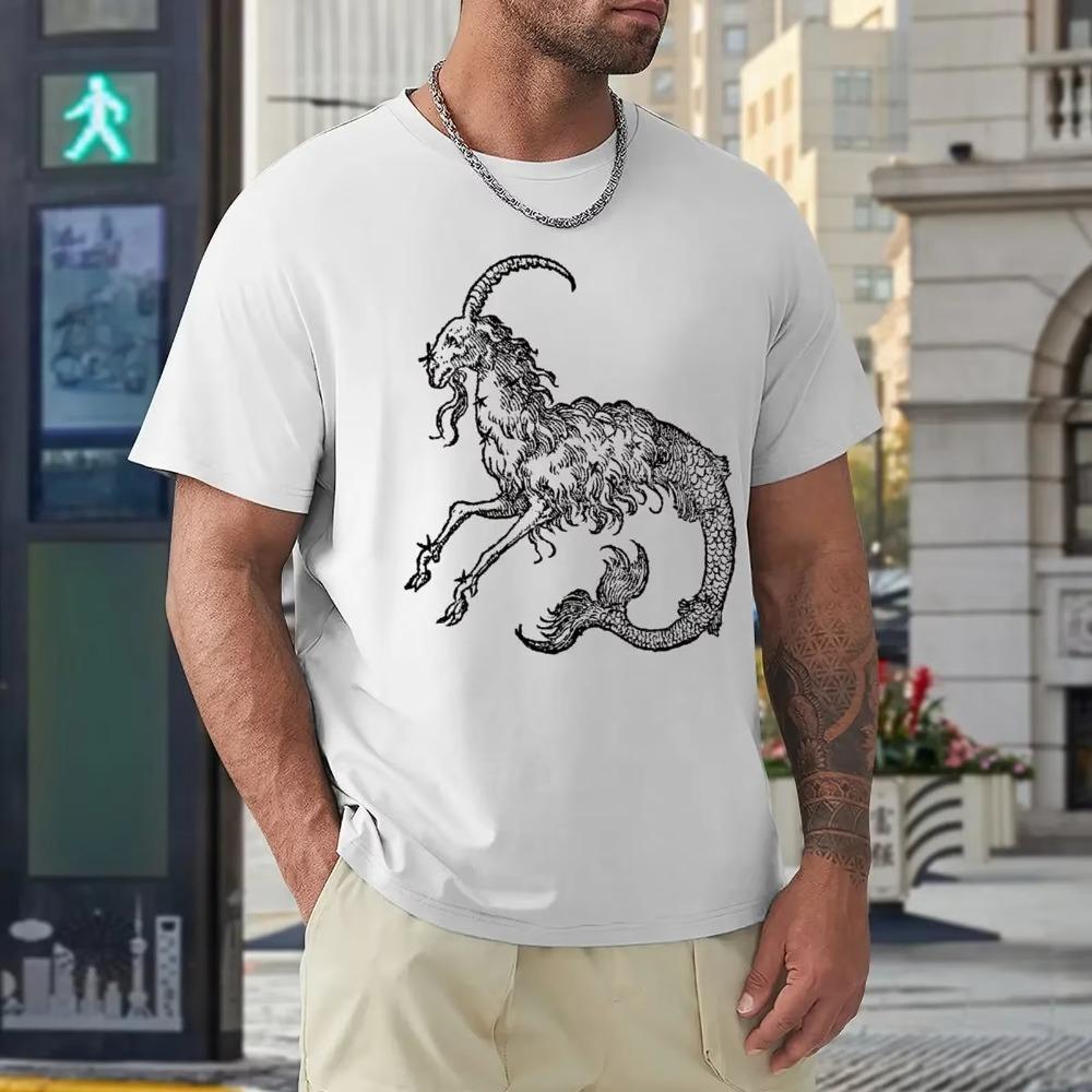 Capricorn Twelve Constellation (4) T-shirt Harajuku Move Tshirt Vintage Home Funny Novelty USA Size