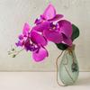 Cloth Simulation Phalaenopsis Vivid Fake Butterfly Orchid Artificial Moth Orchids  Bedroom