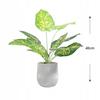 Artificial Plant Flower In A Pot For Home Office Realistic Dieffenbachia