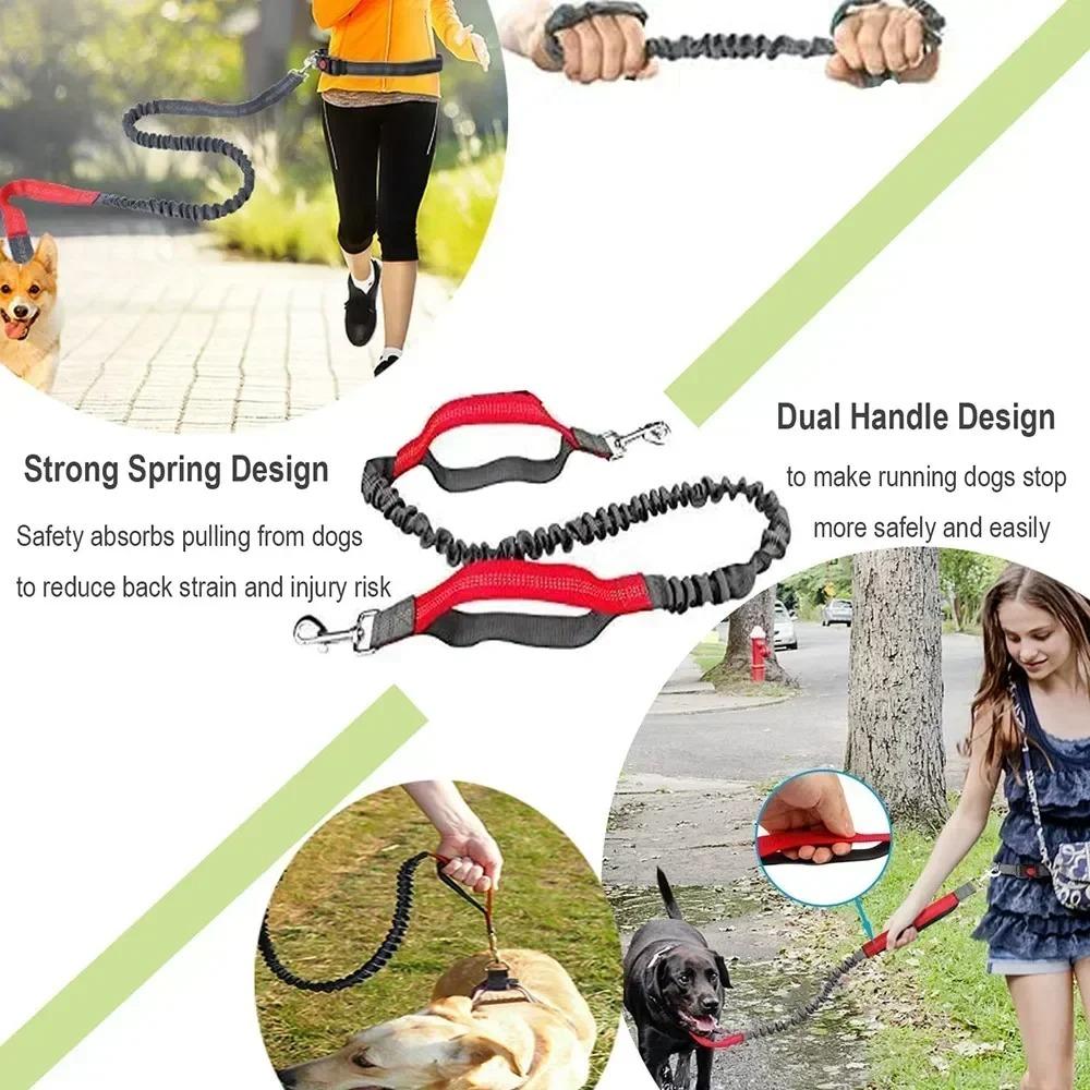 Empty Shell Weight Carrying Strap Vest with Pockets Muscle Training Kit Dogo Argentino American Pit Bull Large Canine K9 Jacket