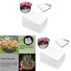 Garden Soil Block Maker With Steel Construction For Landscaping And Planting
