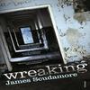 Wreaking by James Scudamore Paperback Book 9780099523857