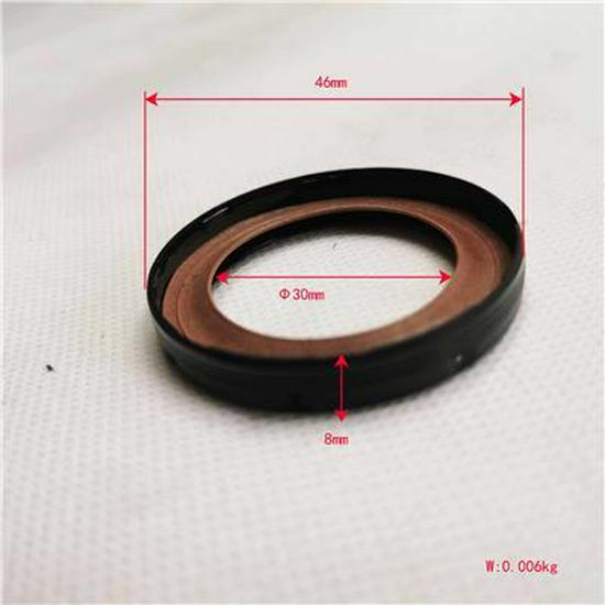 Foton Crankshaft Front Oil Seal SPV10001466E9300