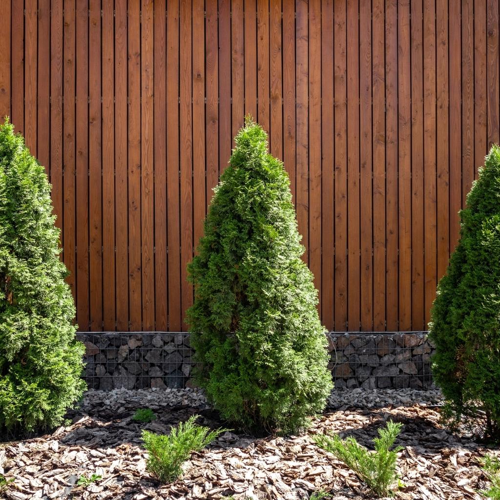 Soil for Conifers 50L Substrate for Thuja Spruces