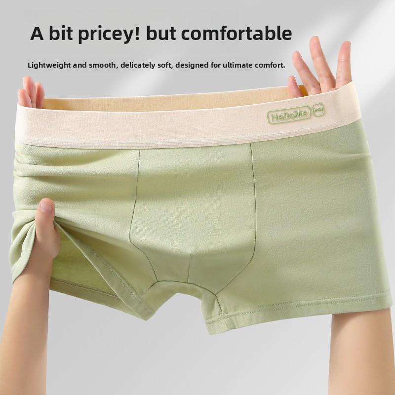 Large Size Men's Spring and Summer Cotton Anti Bacterial Breathable Youth Flat Angle Underwear