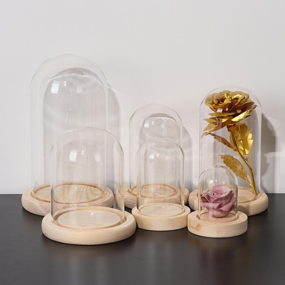 Home Decor Vases Glass Flower Display Cloche Bell Jar Glass Bottle with Wooden Base Dust Cover Display Box Immortal Flower Box