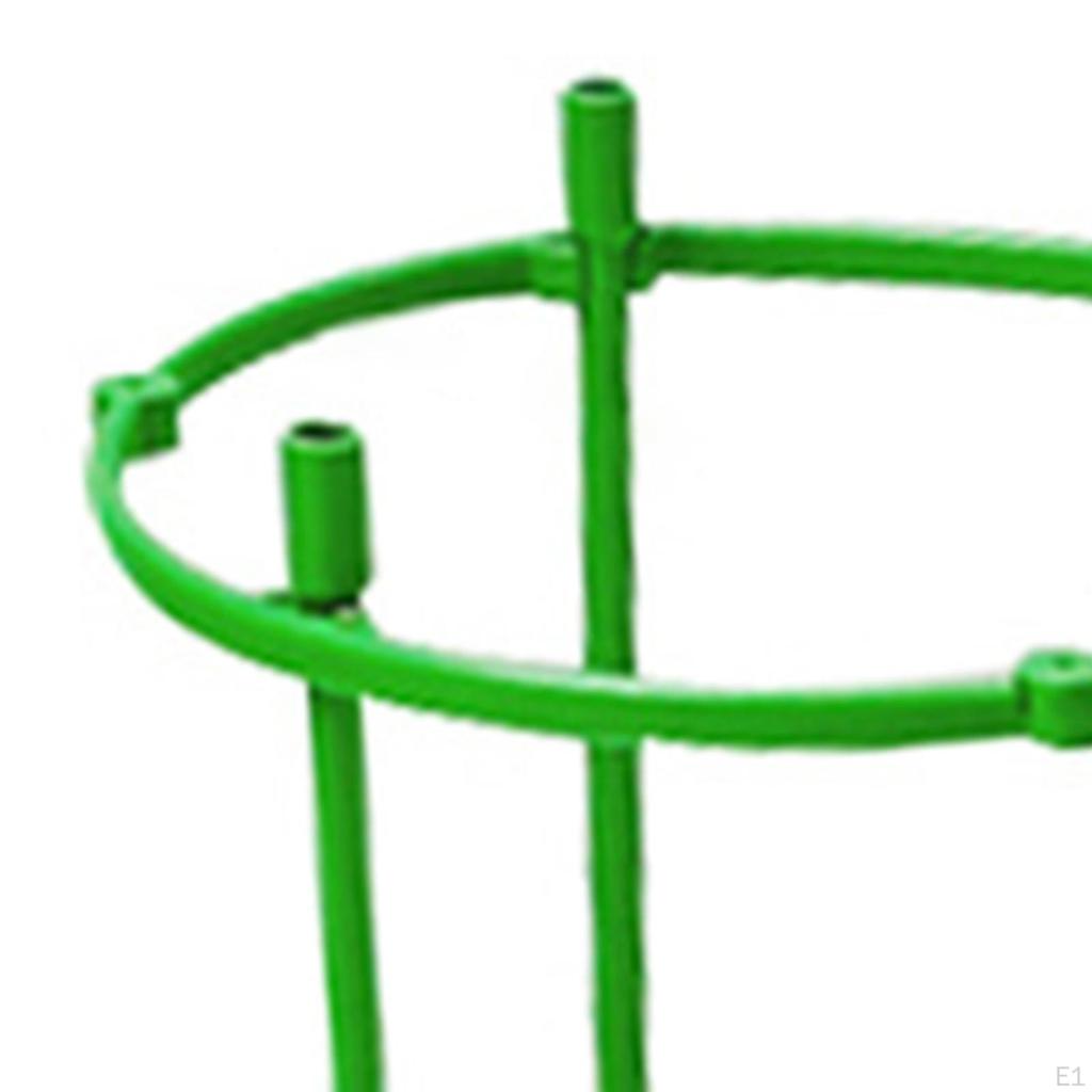 Tomato Cages Garden Trellis Flower Pot Climbing Plant Support Stakes and
