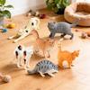 Children's Animal Model: British Shorthair, Maine Coon, Sloth, Orange, Calico, and Blue Cats - Car Decoration