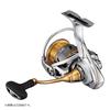 DAIWA 21 Freems LT2500-XH