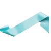 DIY Blank Satin Sash Belts Shoulder Straps with Multi-Color Options for Graduation, Parties & Events