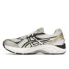 ASICS GT 2160 Cream Silver Gold Unisex Sneakers Pure-Silver 1203A320-100