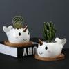 Cute Cartoon Animal Dolphin Succulent Flower Pot Creative Desktop Plant Decoration Ceramic Flower Pot