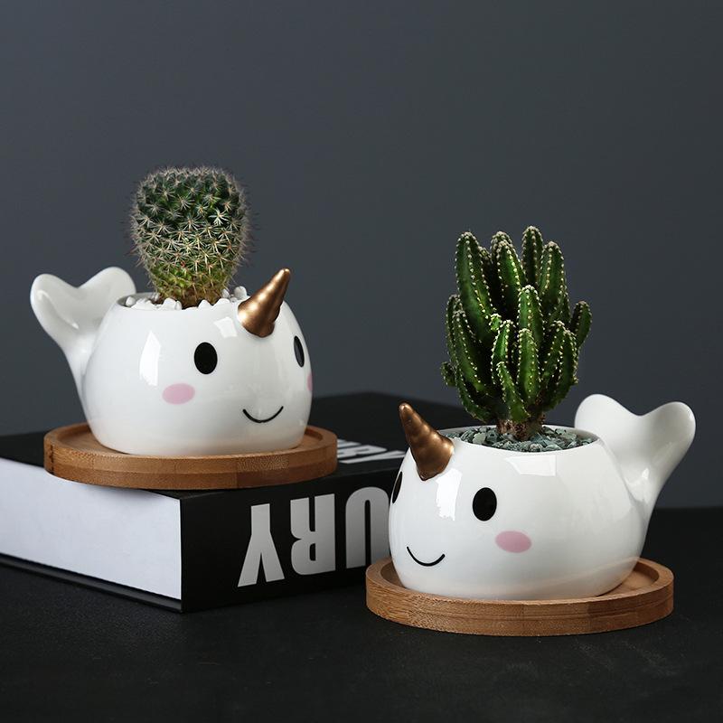 Cute Cartoon Animal Dolphin Succulent Flower Pot Creative Desktop Plant Decoration Ceramic Flower Pot