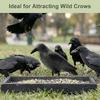 2PCS Crow Decoy, Fake Crow To Keep Birds Away From House, Patio, Porch, Balcony, Roof, Pool, Graden Decoration