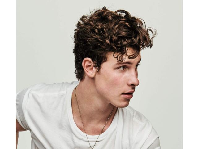 

SHAWN MENDES SHAWN MENDES 8 BONUS TRACKS DELUXE EDITION JAPAN CD UICL-1143 NEW