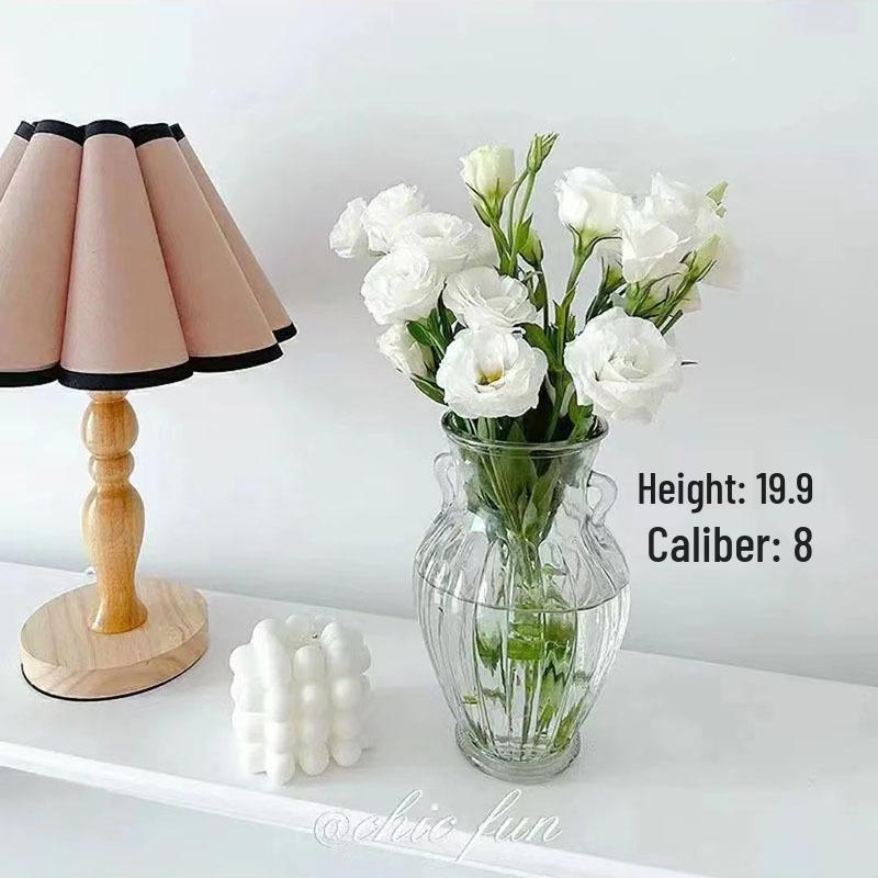 Nordic Cone-Shaped Transparent Glass Vase for Lucky Bamboo and Flowers