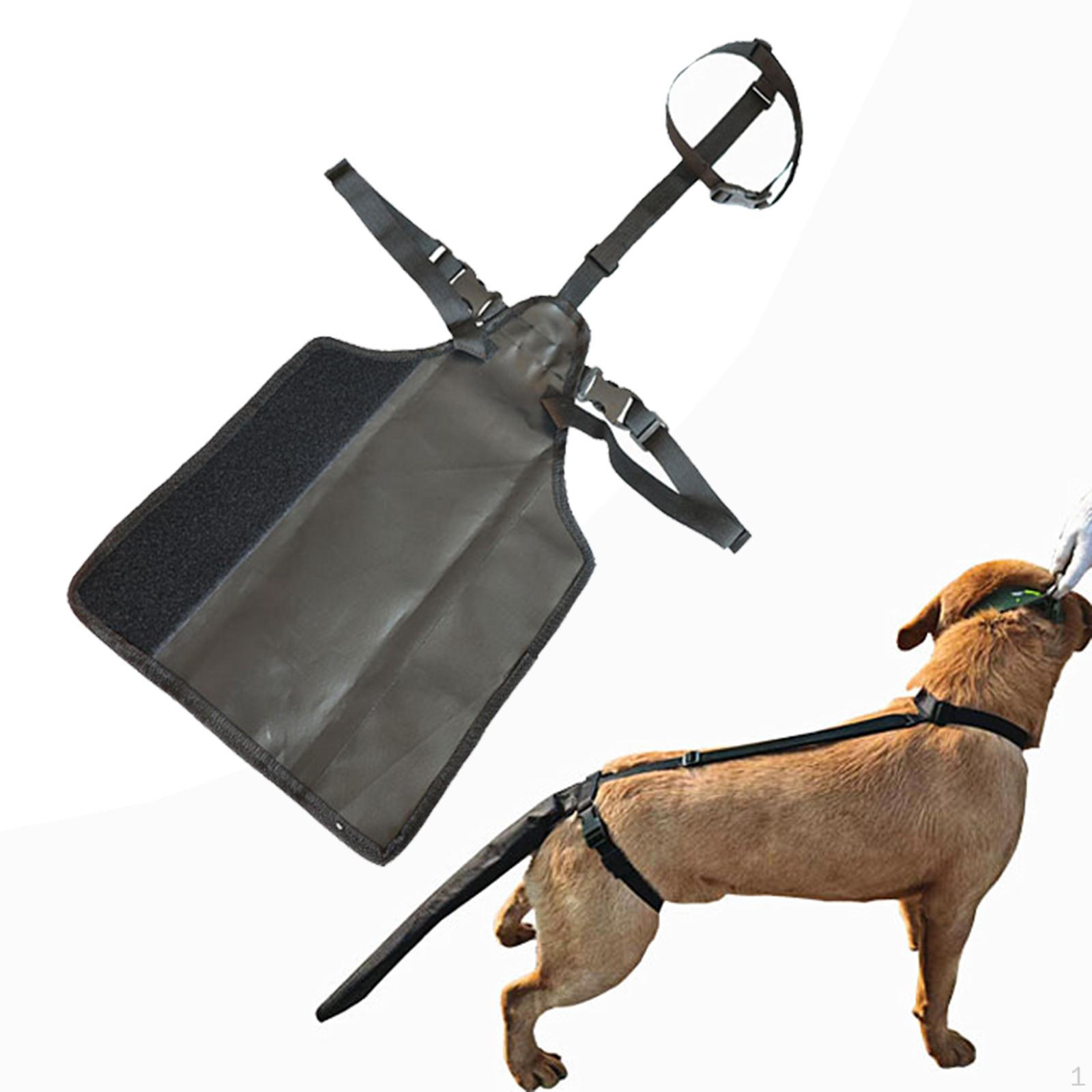 

for Medium to Large Dogs, Comfortable And Adjustable. M