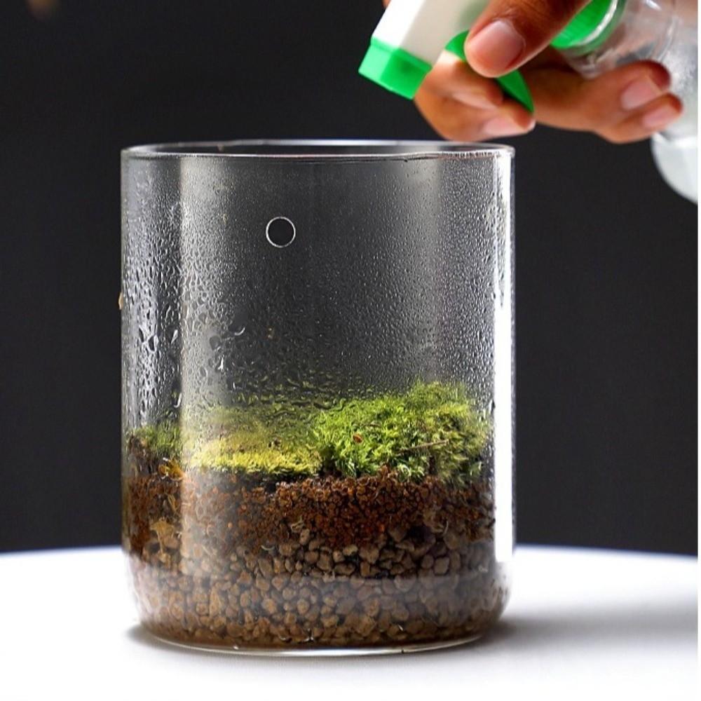 Perforated Cover Desktop Glass Vase Cylinder Micro Landscape Glass Terrarium Bonsai Display