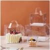 Shengbilai Transparent Cake Boxes with Handle