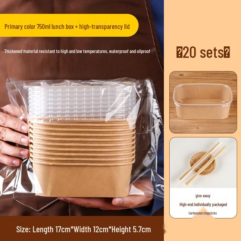 Disposable Rectangular Paper Picnic Box