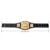 Gold Belt Model Wrestler Gladiator Electroplated Gold Belt Double Match Sambo Martial Arts Boxing Competition King Model
