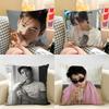 Kpop Singer Cha EEun WWoo Cushion Cover Natural Linen Organic Fabric DoubleSided Printing Room Sofa Decor Pillow Case