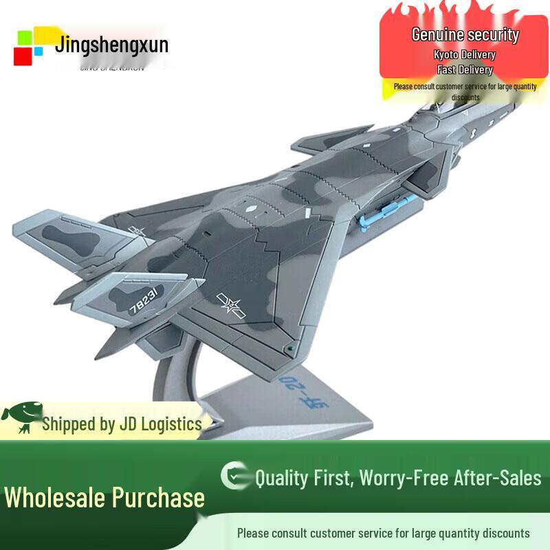 J-20 Fighter Jet Model 1:100 Scale