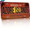 Souvenir Metal License Plate, Custom Auto Sign 15x30cm