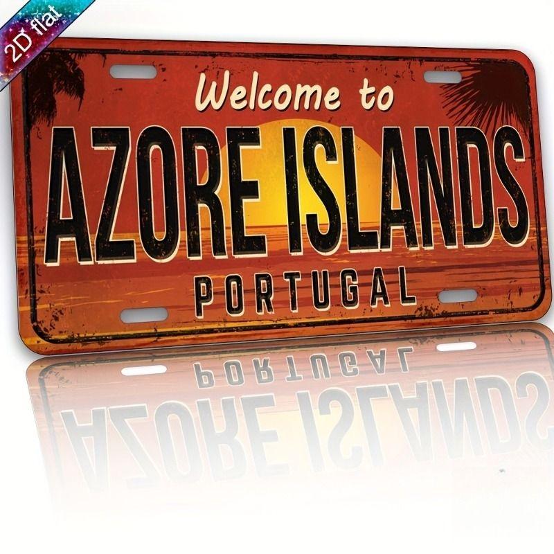 Souvenir Metal License Plate, Custom Auto Sign 15x30cm