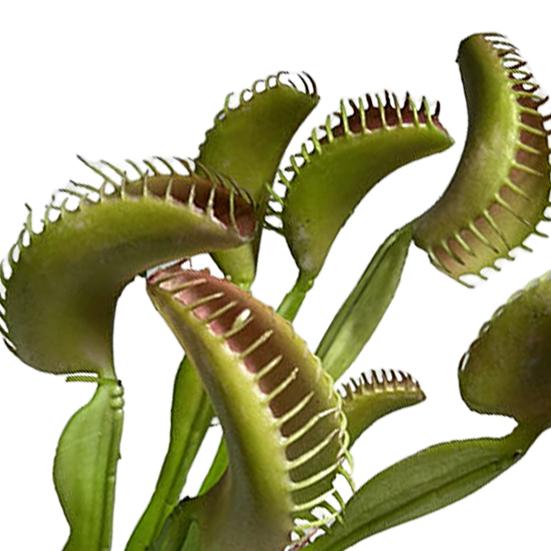 Practical Imitation Plant Non-fading Eco-friendly Create Vitality