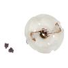 280 283 2Series Motor Carbon Brush Holder End Cap Cover Repair Parts Replace For Screwdriver Hair Clipper Shaver Micro DC Motors