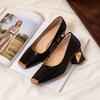 Women's Low-cut Single Shoes, Casual Shoes, Suitable for Spring, Autumn, with Thick Heels, Versatile Shoes