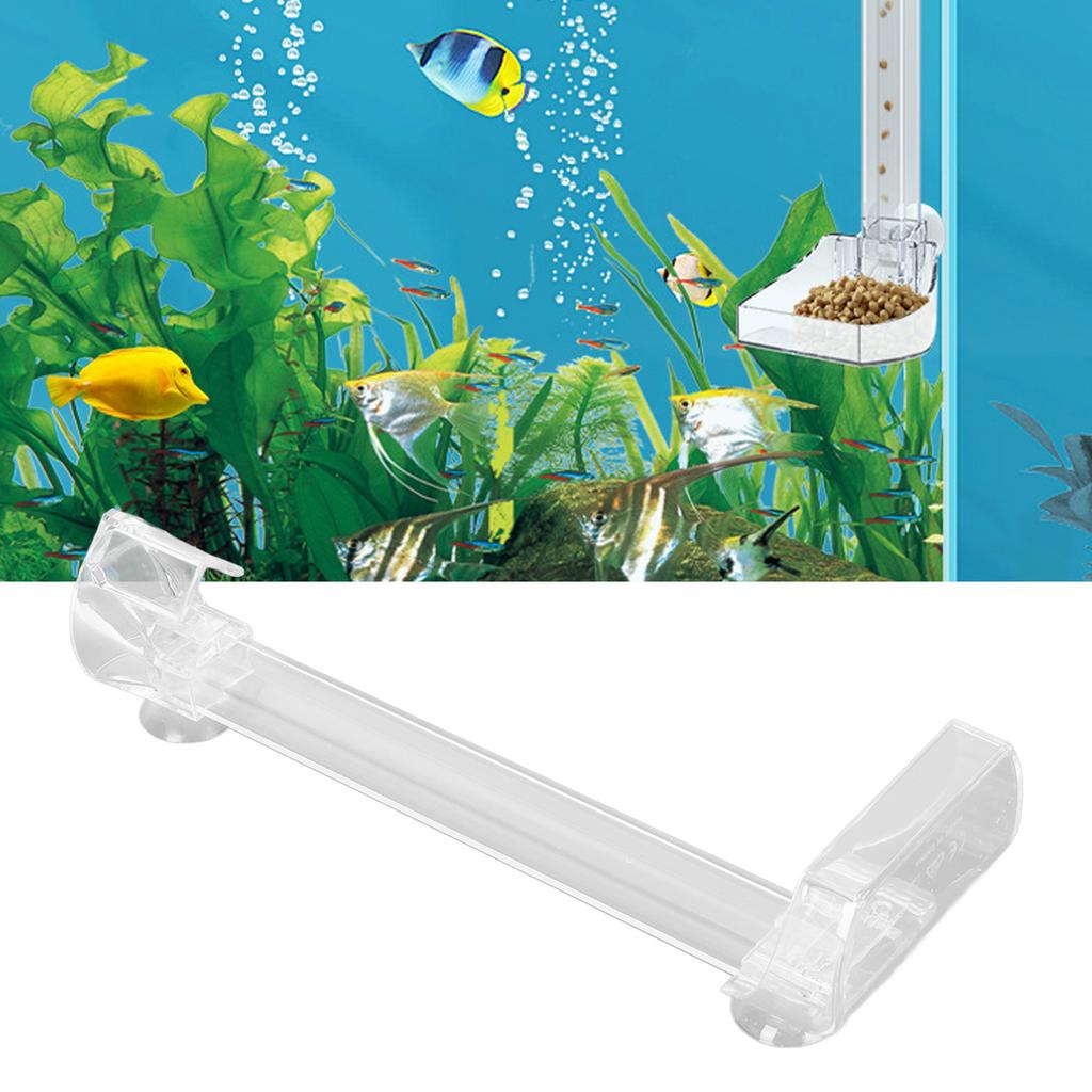 Fish Shrimp Feeder Tube Large Plate Fixed Point Feeding Acrylic Clr Shrimp Feeding Tube for Aquarium Fish  