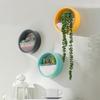 Wall Mounted Plant Hanging Container Easy No Tool Setups Ideal For Green Decoration Vertical Gardening In Compact Area