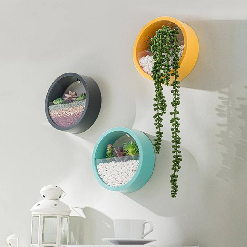 Wall Mounted Plant Hanging Container Easy No Tool Setups Ideal For Green Decoration Vertical Gardening In Compact Area