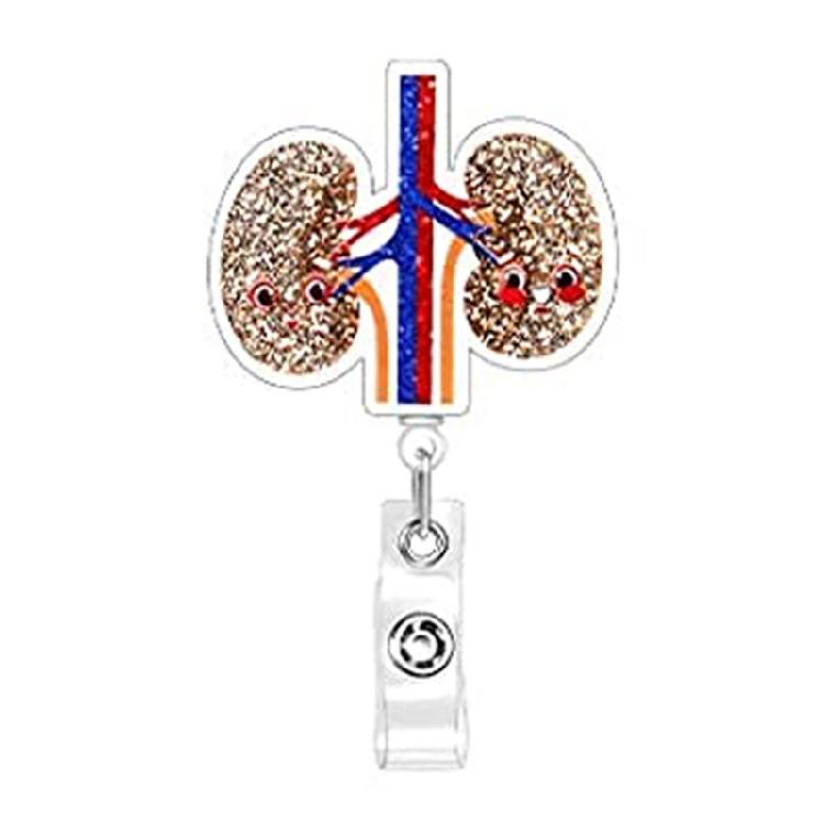 Multifuntional Acrylic Organ Badge Reel Cartoon Clip Brooch Doctor Nurse Badge Holder Suitable for Hospital Exhibitions