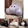Cute Orange Cat Plush Lumbar Pillow With Embroidered Splicing For Sofa Office Car Bedside Decor