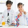 NUOBESTY Double Helix DNA Model Kit DNA Structure Models Human Genes Learning Kit for Biological Teaching Prop