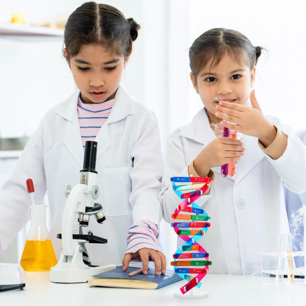 NUOBESTY Double Helix DNA Model Kit DNA Structure Models Human Genes Learning Kit for Biological Teaching Prop