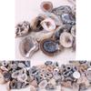 Stunning 10pcs Geodes Oco Agate Natural Crystals With Unique Quartz Patterns For Home Decor